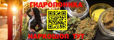 стафф Владивосток