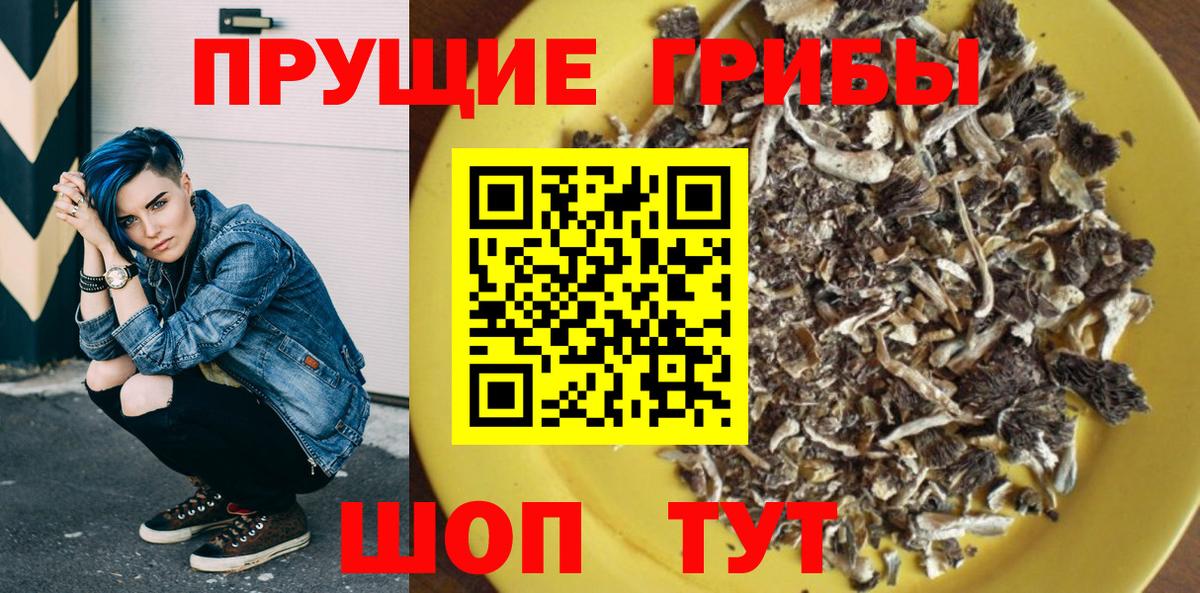 Галлюциногенные грибы Psilocybe  Вход с VPN  Нерюнгри 