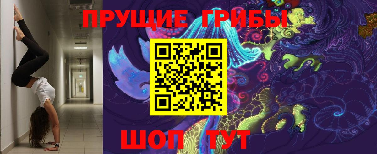 Псилоцибиновые грибы мицелий Нерюнгри